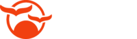 Portuguesa Audiovisual