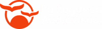 Portuguesa Audiovisual
